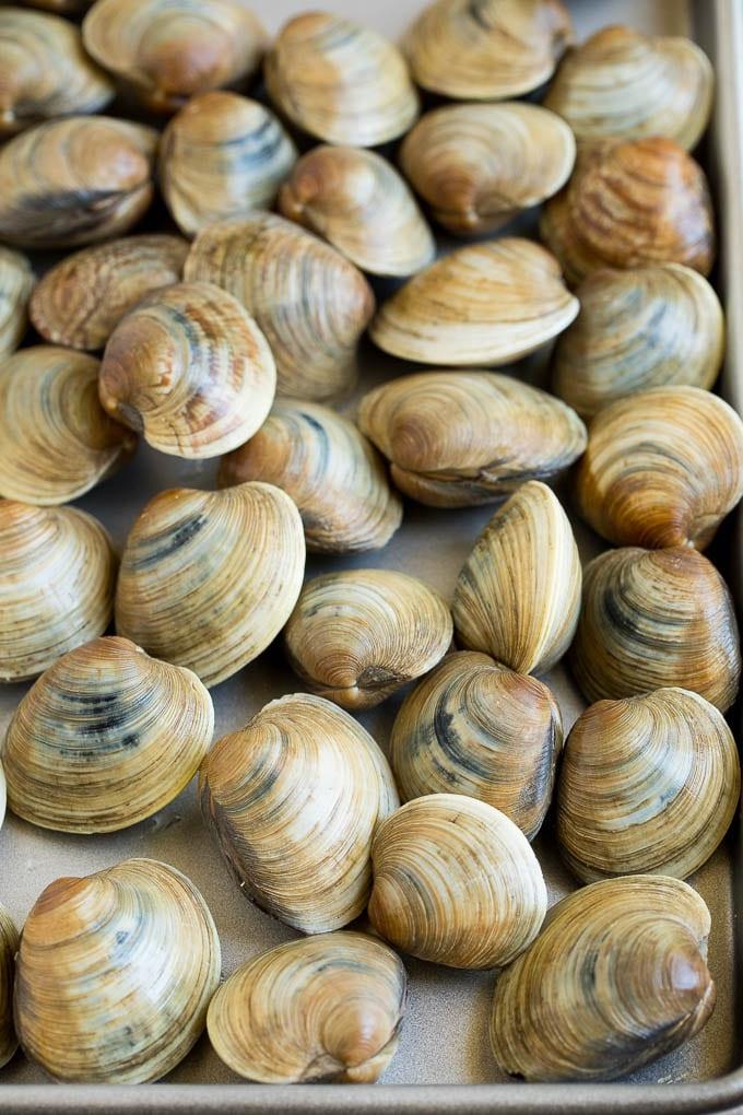 Frische Muscheln auf einem Backblech, bereit zum Kochen.
