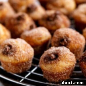 Churro Nutella Poppers 6 Nutella Churro Donut Holes on a grill