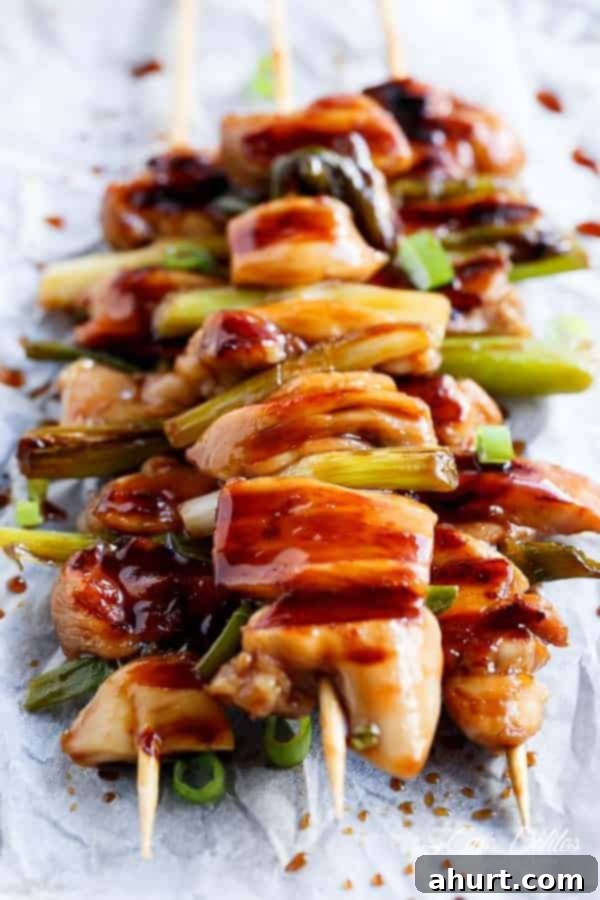 Deliciously Easy Japanese Chicken Yakitori 5 Top front view image of Easy Chicken Yakitori
