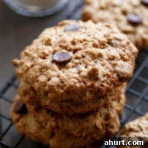 Chewy Flourless Peanut Butter Chocolate Chip Oatmeal Cookies 11 Flourless Oatmeal Peanut Butter Chocolate Chip Cookies on a cooling rack
