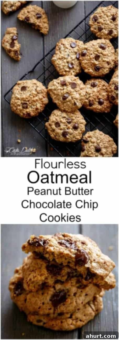 Chewy Flourless Peanut Butter Chocolate Chip Oatmeal Cookies 12 PIN image of Flourless Oatmeal Peanut Butter Chocolate Chip Cookies