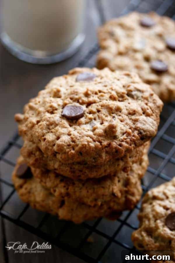 Flourless Oatmeal Peanut Butter Chocolate Chip Cookies on a cooling rack