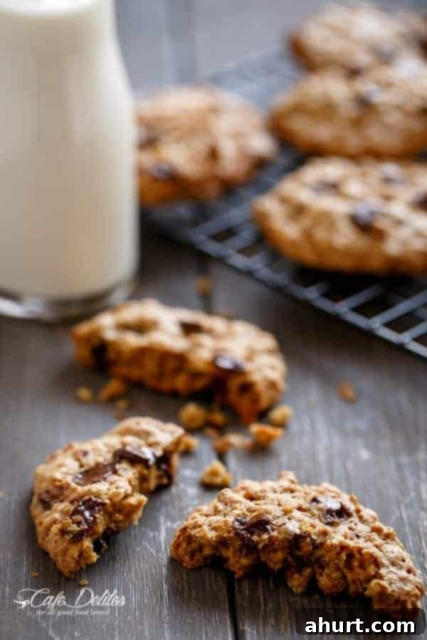 Side view image of Flourless Oatmeal Peanut Butter Chocolate Chip Cookies 