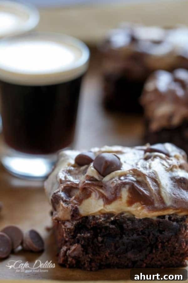 Swirled Mocha Cookie Dough Espresso Fudge Brownies 8 Espresso Fudge Brownies with Mocha Swirl Cookie Dough pieces