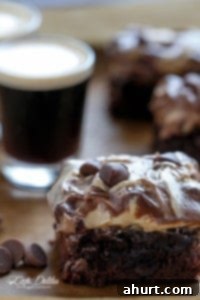 Swirled Mocha Cookie Dough Espresso Fudge Brownies 9 Fudge Brownies with Mocha Swirl Cookie Dough pieces