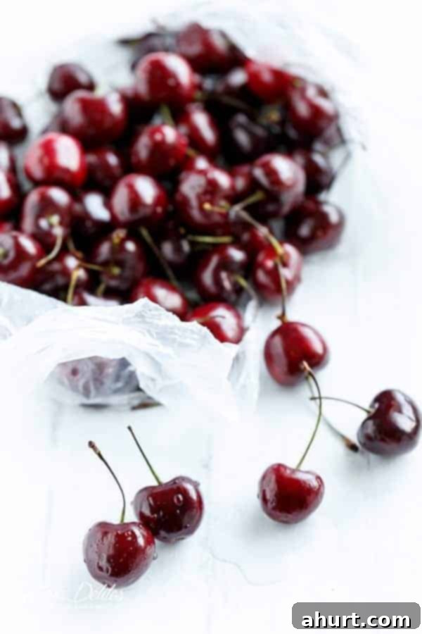 Toasted Butter Chocolate-Cherry Sky-High Pancake 4 Raw Cherries