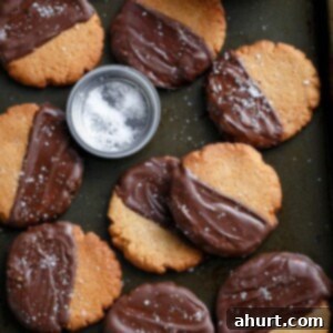 Keto Tuzlu Çikolatalı Fıstık Ezmesi Kurabiyeleri 7 Salted Chocolate Dipped Peanut Butter Cookies recipe image