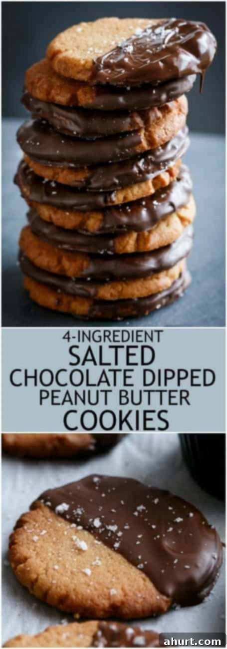 Keto Tuzlu Çikolatalı Fıstık Ezmesi Kurabiyeleri 8 PIN image of Salted Chocolate Dipped Peanut Butter Cookies