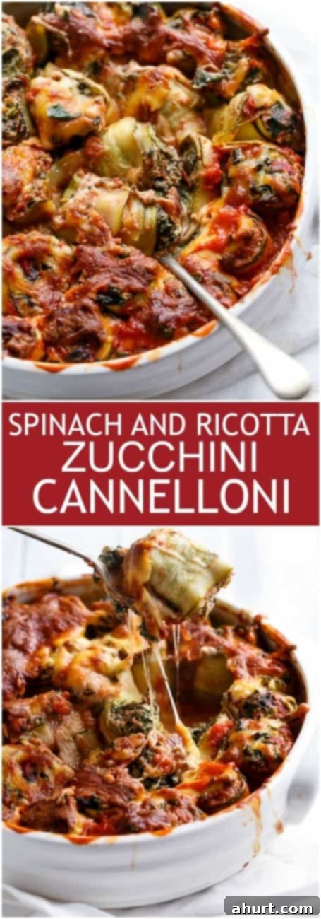Zucchini Ricotta Spinach Bake 10 PIN image of Spinach And Ricotta Zucchini Cannelloni