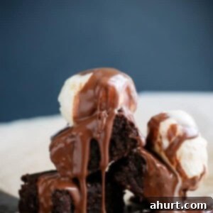 Decadent Low Carb Flourless Hazelnut Brownies 9 Fudgy Flourless Hazelnut Brownies with a Hot Chocolate Fudge Sauce