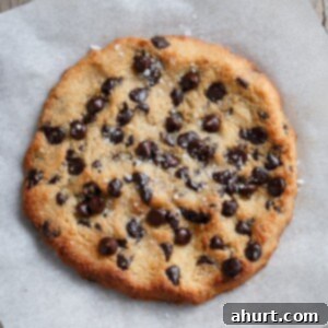 Guilt-Free Jumbo Low Carb Chocolate Chip Cookie For One 8 Serve Jumbo Low Carb Chocolate Chip Cookie