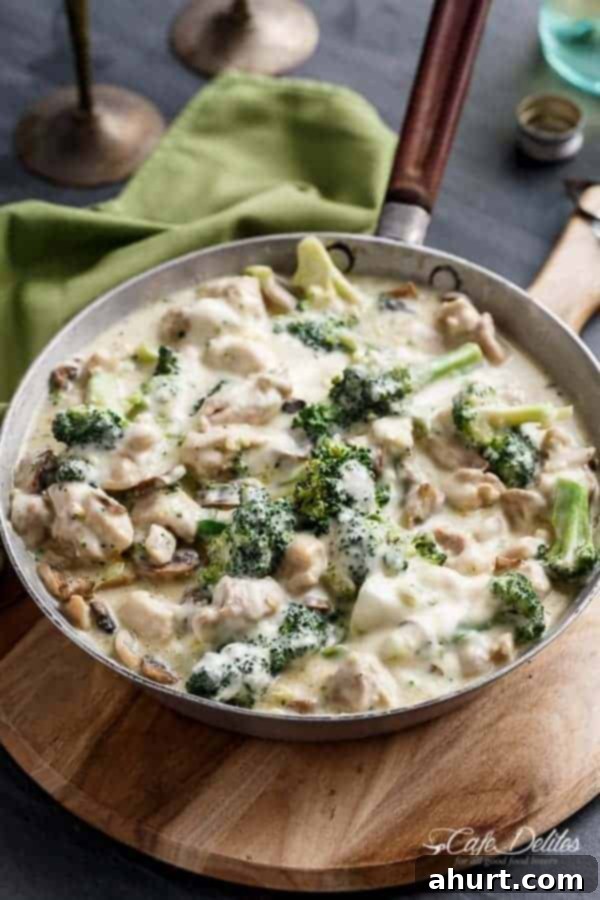 Top view image of Chicken and Mushrooms in a Creamy White Wine Sauce 
