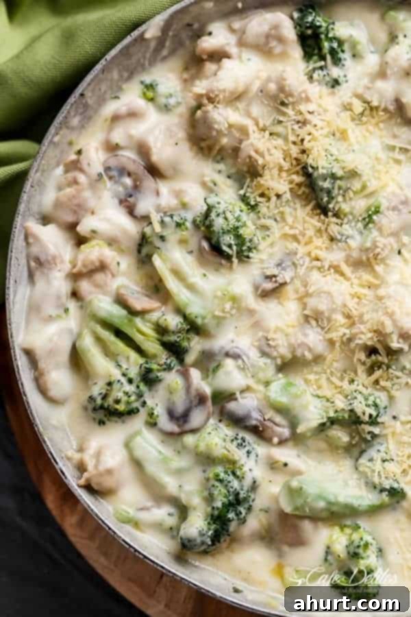 Top view image of Chicken and Mushrooms in a Creamy White Wine Sauce 