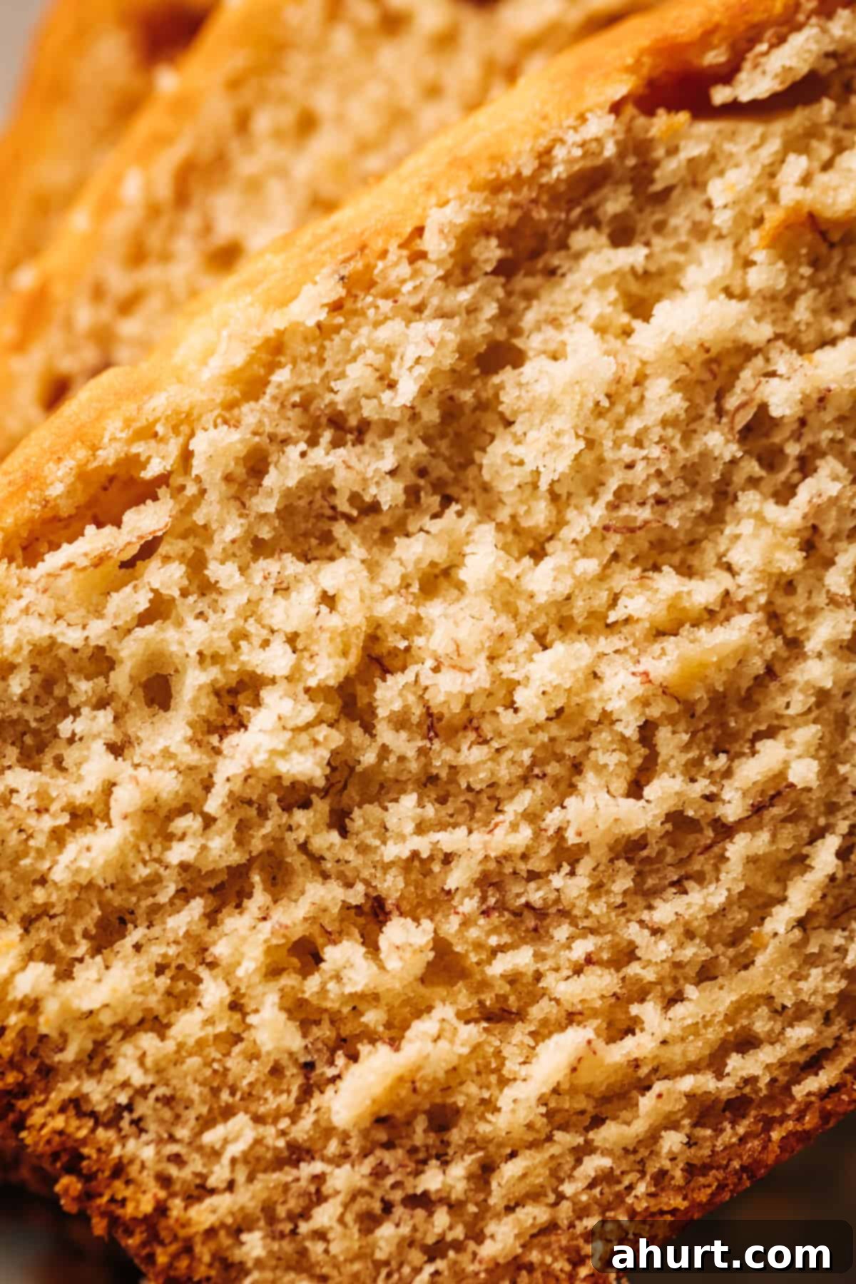 Golden Banana Maple Spice Cake 3 A close up image of a fluffy banana cake crumb, showing its delicate texture.