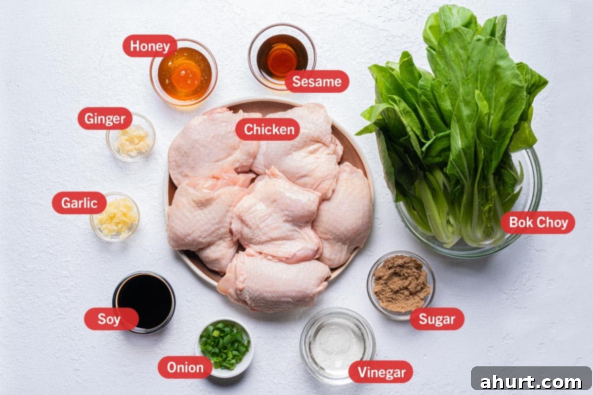 Caramelized Asian Glazed Chicken Thighs 3 Ingredients laid out against a white background: chicken, honey, sesame, bok choy, sugar, vinegar, onion, soy, garlic, ginger.