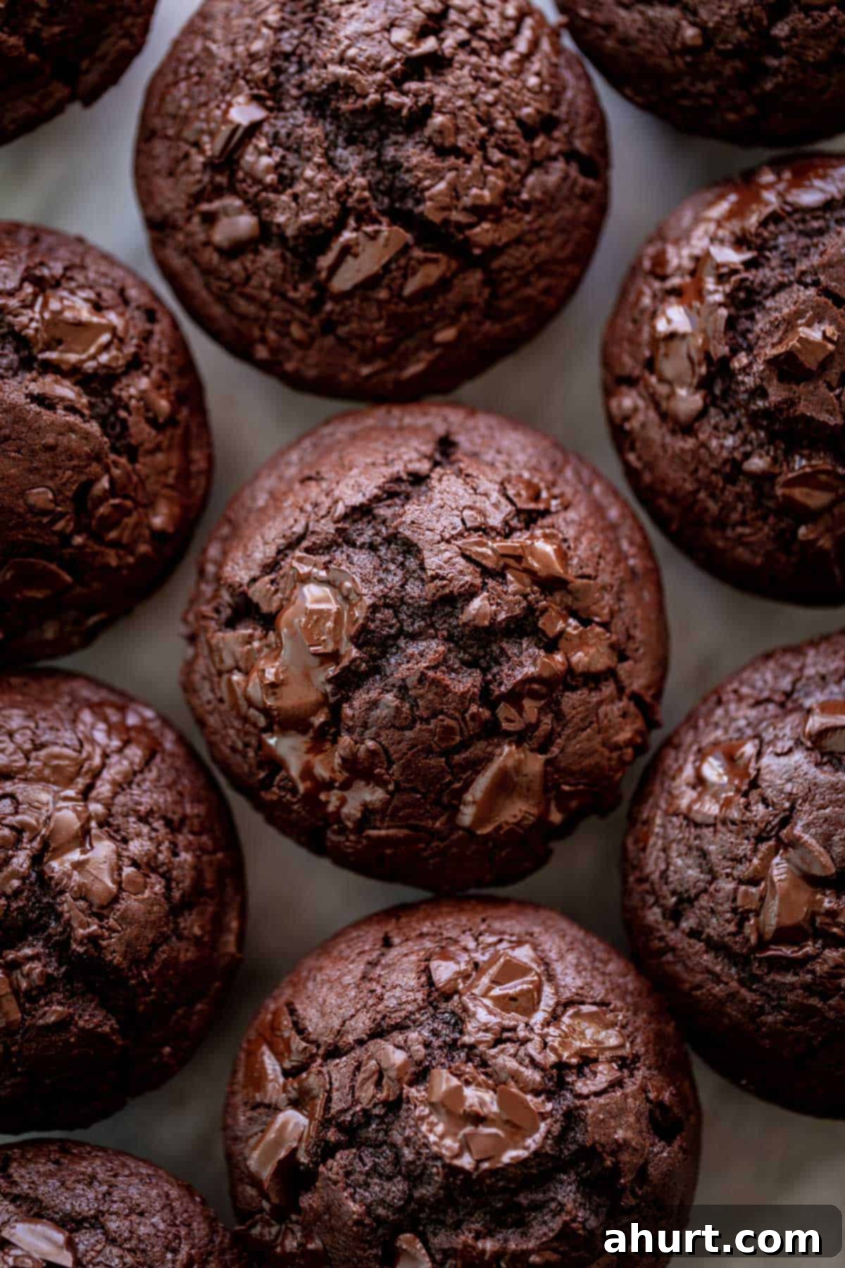A batch of soft double chocolate chunk muffins with melted chocolate on top, presented beautifully.