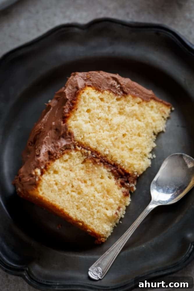 A large slice of Kahlua Chocolate Cream Butter Cake on a plate, showing its inviting texture and luscious frosting.