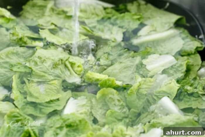 Jeweled Cobb Salad 4 Fresh, crisp green leafy vegetables, including romaine lettuce and rocket, neatly arranged and ready for the salad preparation.