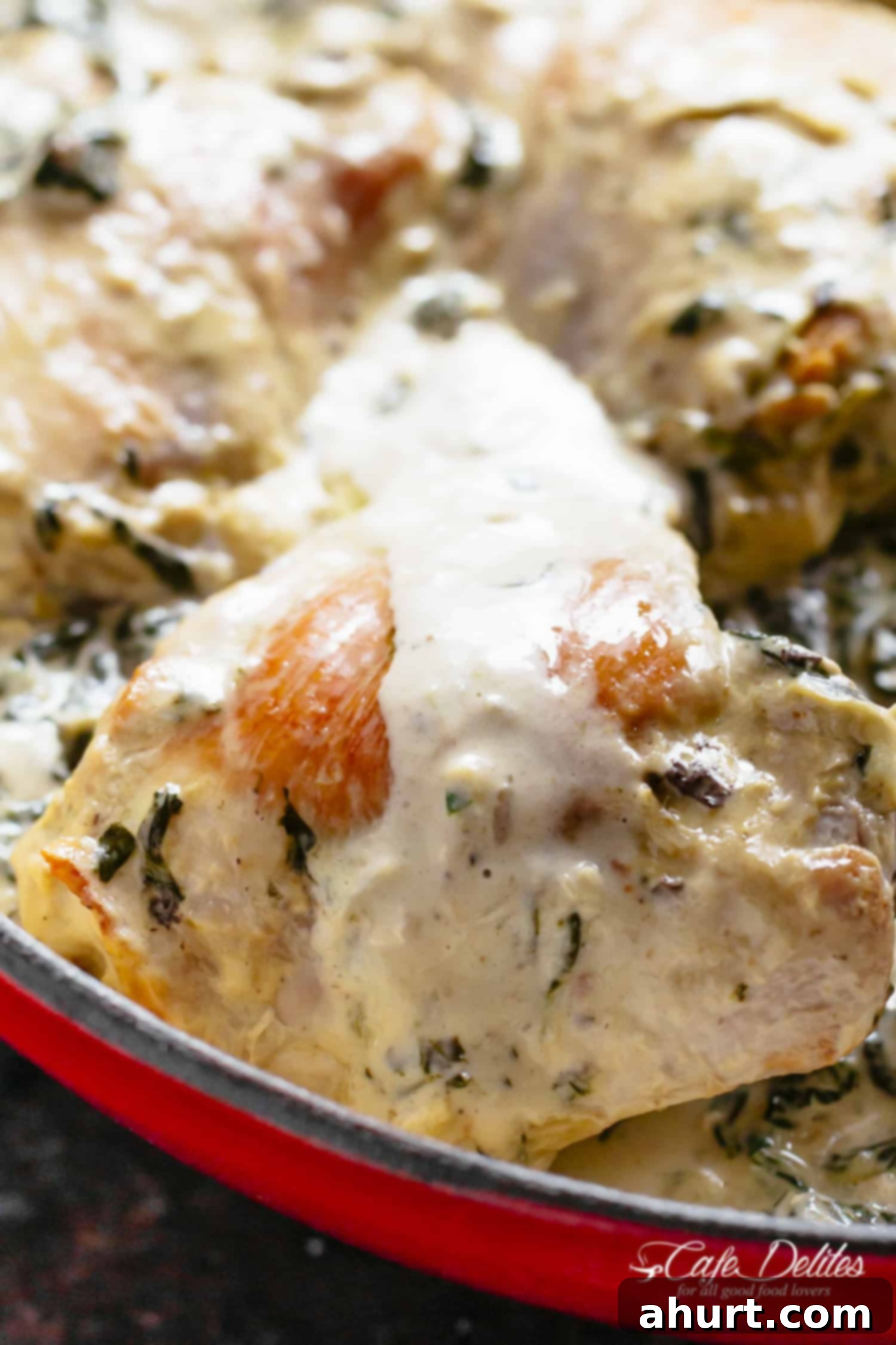 Creamy Spinach Artichoke Chicken Thighs in one skillet! Low fat AND low carb, filled with fresh spinach, artichokes, parmesan cheese and a hint of garlic!