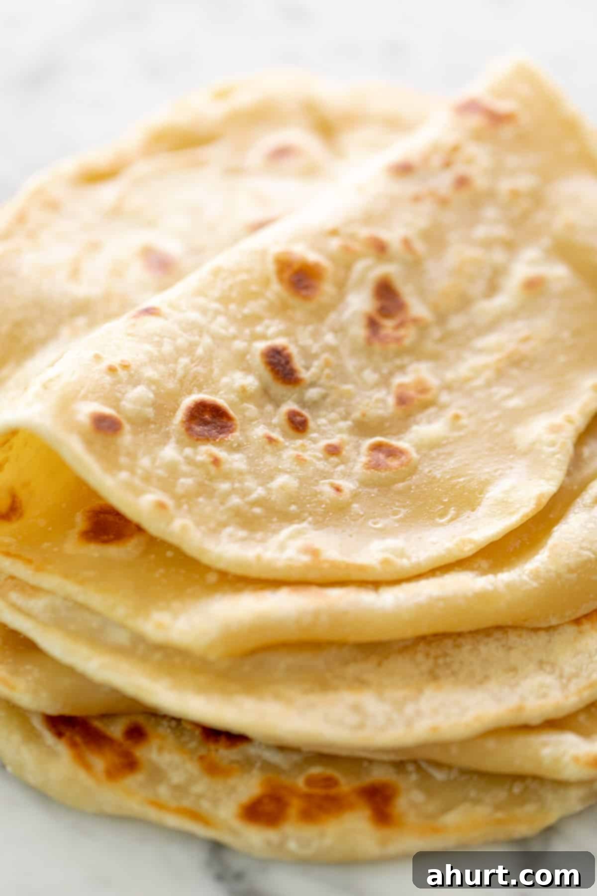 Simple Yeast-Free Flatbread Recipe 2 Easy Flatbreads on a plate