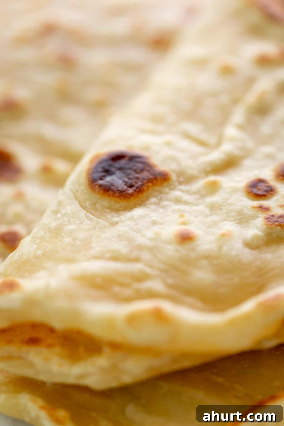 Simple Yeast-Free Flatbread Recipe 12 close up image of a folded flat bread.