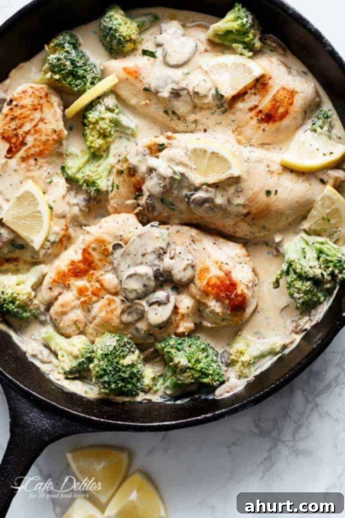 Top view of Julia Child\'s Creamy Chicken + Mushroom in a pan