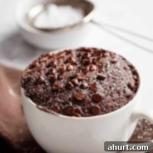 Guilt-Free Chocolate Mug Cake 9 Low Fat Chocolate Mug Cake, a delicious quick dessert