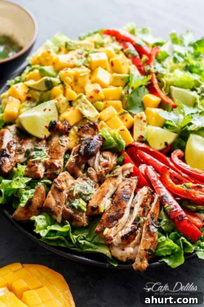 Zesty Cilantro Lime Chicken Salad with Sweet Mango Avocado Salsa 3 Top view image of Cilantro Lime Chicken Salad + Mango Avocado Salsa