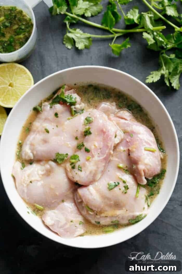 Zesty Cilantro Lime Chicken Salad with Sweet Mango Avocado Salsa 4 Marinated raw chicken pieces for Cilantro Lime Chicken Salad And Mango Salsa