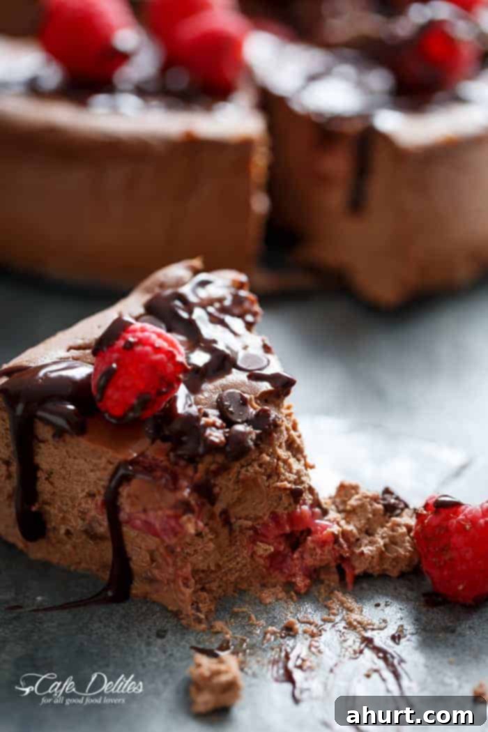 A close-up of a slice of Crustless Chocolate Raspberry Cheesecake with a fork taking a bite, showing the vibrant raspberries
