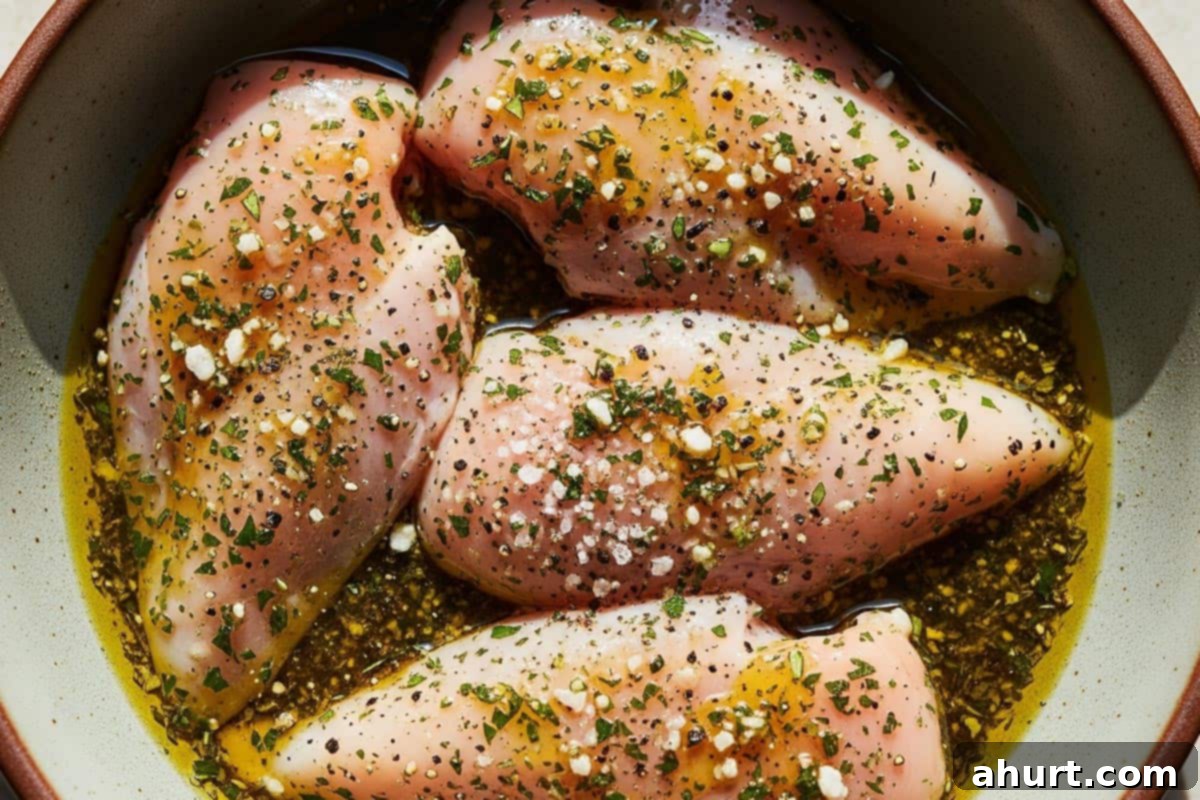 Chicken Mozzarella 5 Raw chicken fillets in a bowl, evenly coated with a mixture of dried herbs (basil, parsley, oregano), salt, pepper, and olive oil, ready for searing.