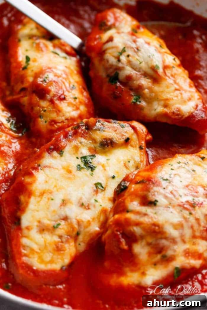 Chicken Mozzarella 10 Two generous servings of Mozzarella Chicken in Tomato Sauce, garnished with fresh basil, ready to be enjoyed.
