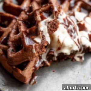 Waffled Chocolate Cake 6 Delicious Dark Chocolate Cake Waffles ready to be served