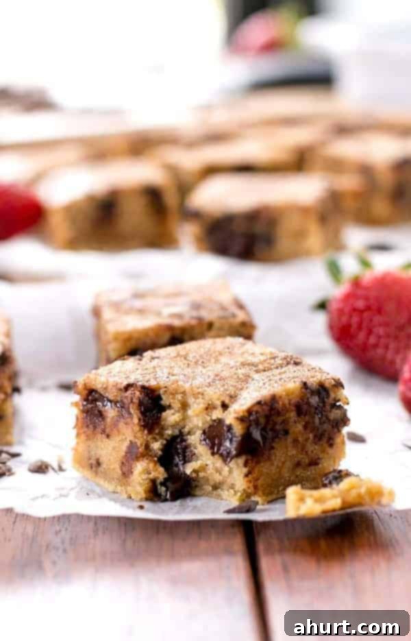 Cinnamon Sugar Chocolate Chunk Blondies 2 Churro Chocolate Chunk Blondies pieces on a plate