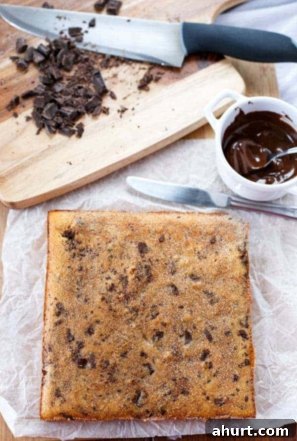 Cinnamon Sugar Chocolate Chunk Blondies 6 Whole uncut Churro Chocolate Chunk Blondies with chocolate sauce