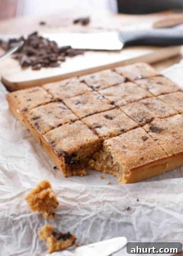 Cinnamon Sugar Chocolate Chunk Blondies 7 Churro Chocolate Chunk Blondies cut into pieces