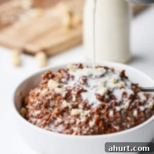 Decadent Nutella Brownie Oatmeal 7 Nutella Brownie Oatmeal in a bowl