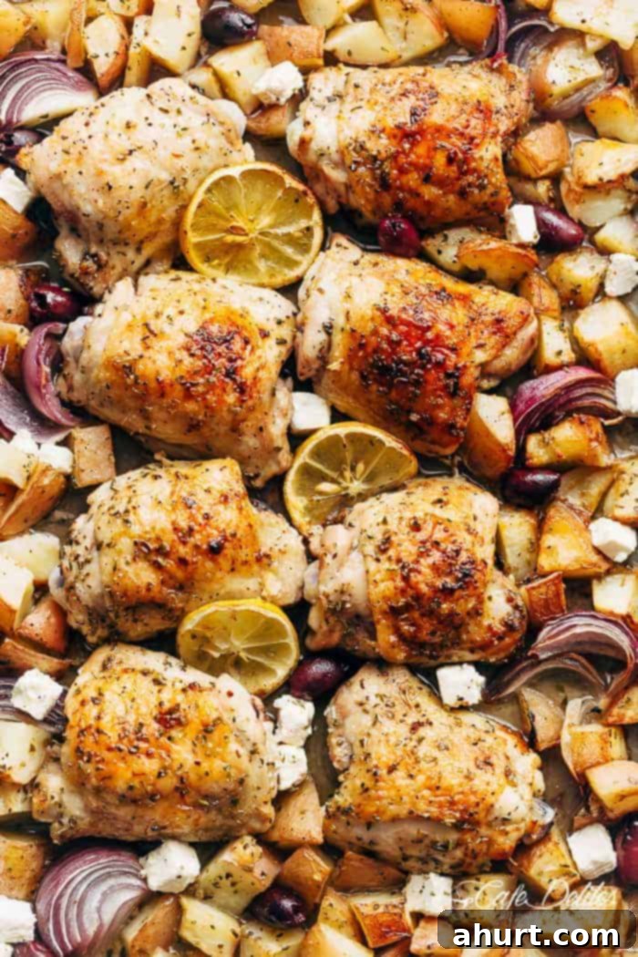 Hellenic Citrus Herb Chicken 2 Greek Chicken And Potatoes on a baking tray, golden brown and perfectly cooked