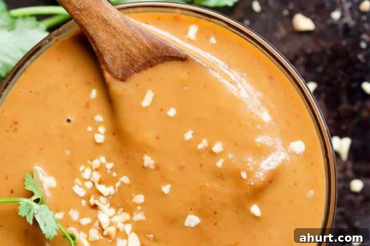 Quick and Creamy Satay Dip 7 Close-up shot of the finished homemade Satay Dipping Sauce, glossy and rich in texture.