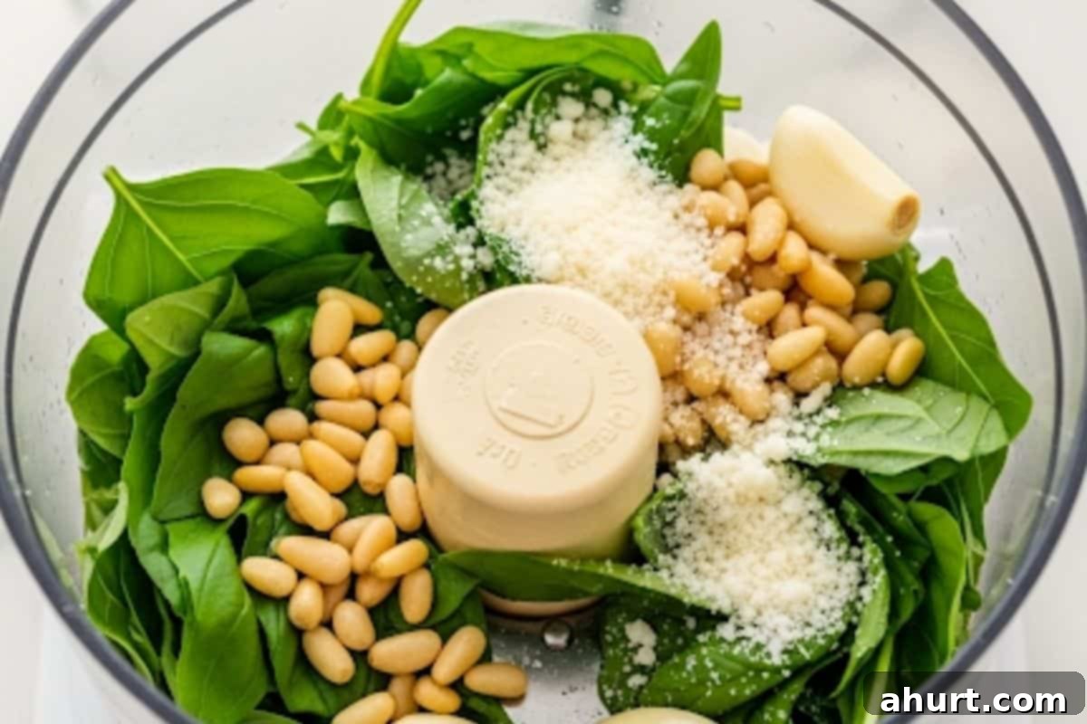 Freshly Made Basil Pesto Perfection 5 Add the cooled, toasted pine nuts, fresh basil leaves, peeled garlic, and freshly shredded Parmesan cheese into a food processor for initial pulsing.