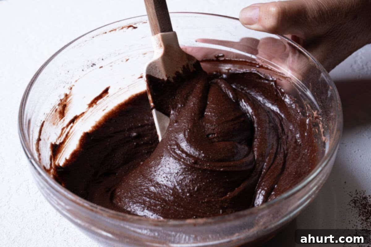 Decadent Cocoa Fudge Brownies 7 Dry ingredients being gently folded together with wet ingredients until just combined.