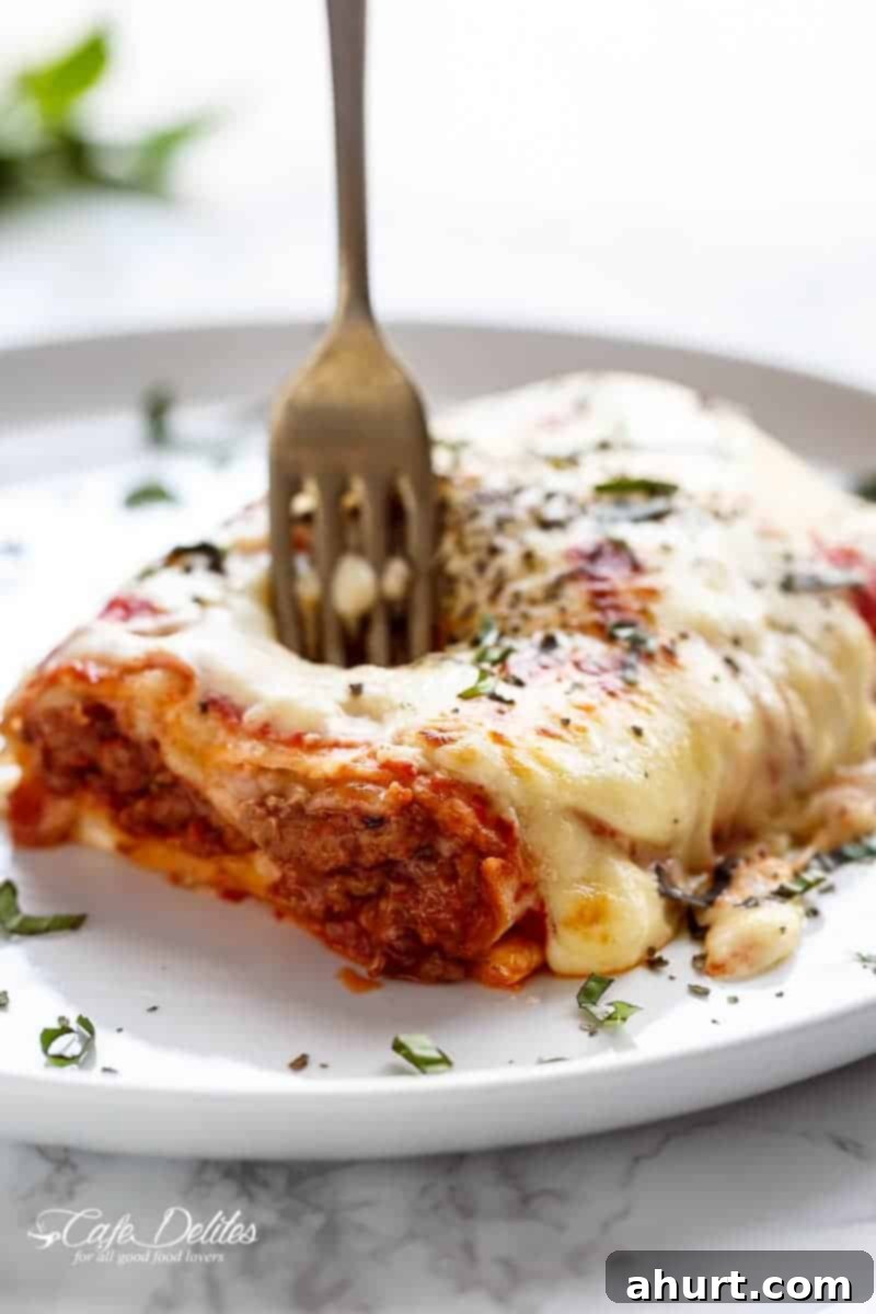 Lasagna Stuffed Burritos on a plate