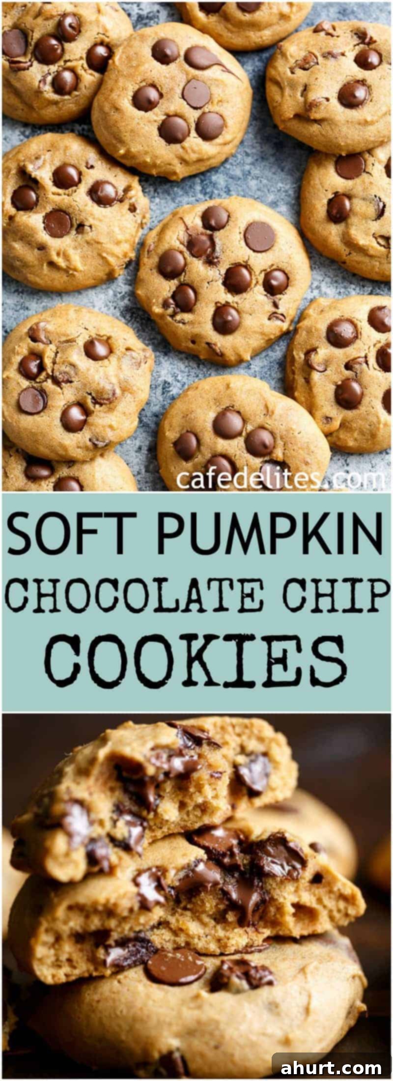Pillowy Pumpkin Chocolate Chip Cookies 10 PIN image of Soft Pumpkin Chocolate Chip Cookies on a baking tray, perfect for Pinterest