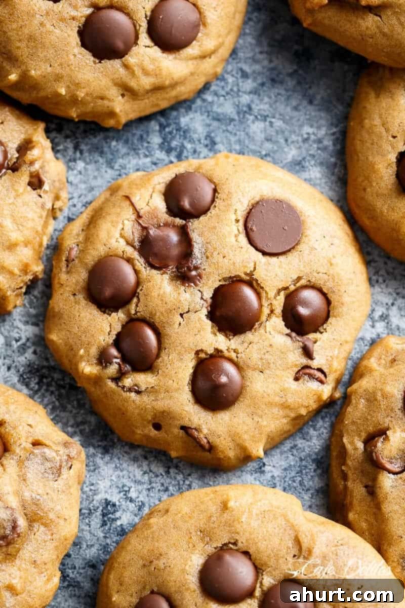 Close-up view of Soft Pumpkin Chocolate Chip Cookies, showing their soft texture and melted chocolate