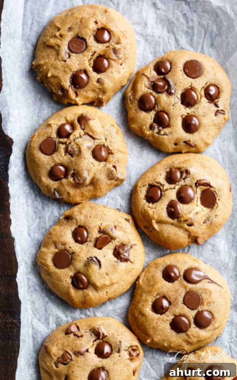 Soft Pumpkin Chocolate Chip Cookies cooling on a baking tray, ready to be enjoyed