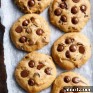 Pillowy Pumpkin Chocolate Chip Cookies 8 Soft Pumpkin Chocolate Chip Cookies on a baking tray