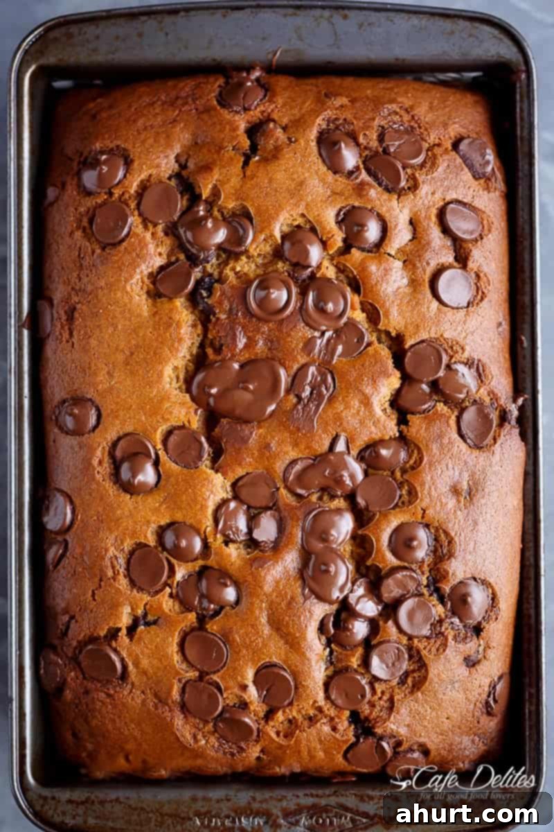 Top-down view of a freshly baked Nutella Pumpkin Chocolate Chip Bread loaf, showing the golden-brown crust, scattered chocolate chips, and inviting texture