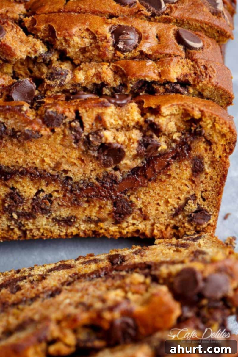 Close-up view of a sliced Nutella Pumpkin Chocolate Chip Bread, prominently featuring the rich, swirled Nutella center and numerous visible chocolate chips in its moist crumb