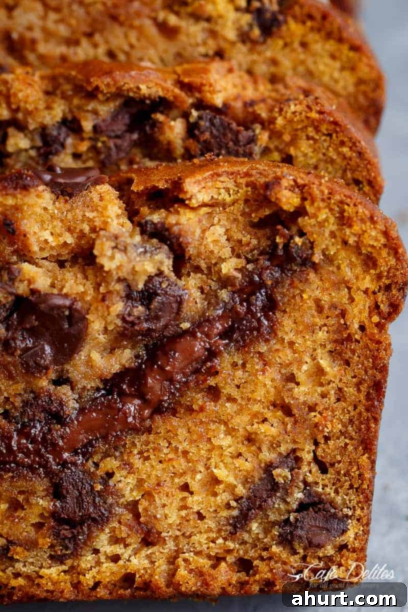 Super close-up detailed image of the moist interior of Nutella Pumpkin Chocolate Chip Bread, showing the distinct Nutella swirl and melted chocolate pieces