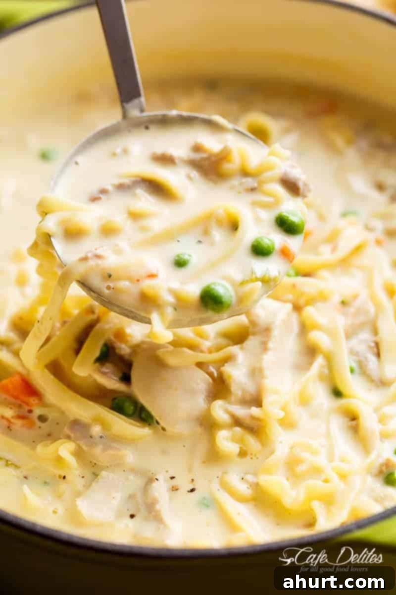Guilt-Free Creamy Chicken Noodle Soup 3 Super creamy Chicken Noodle Soup in a ladle from the bowl
